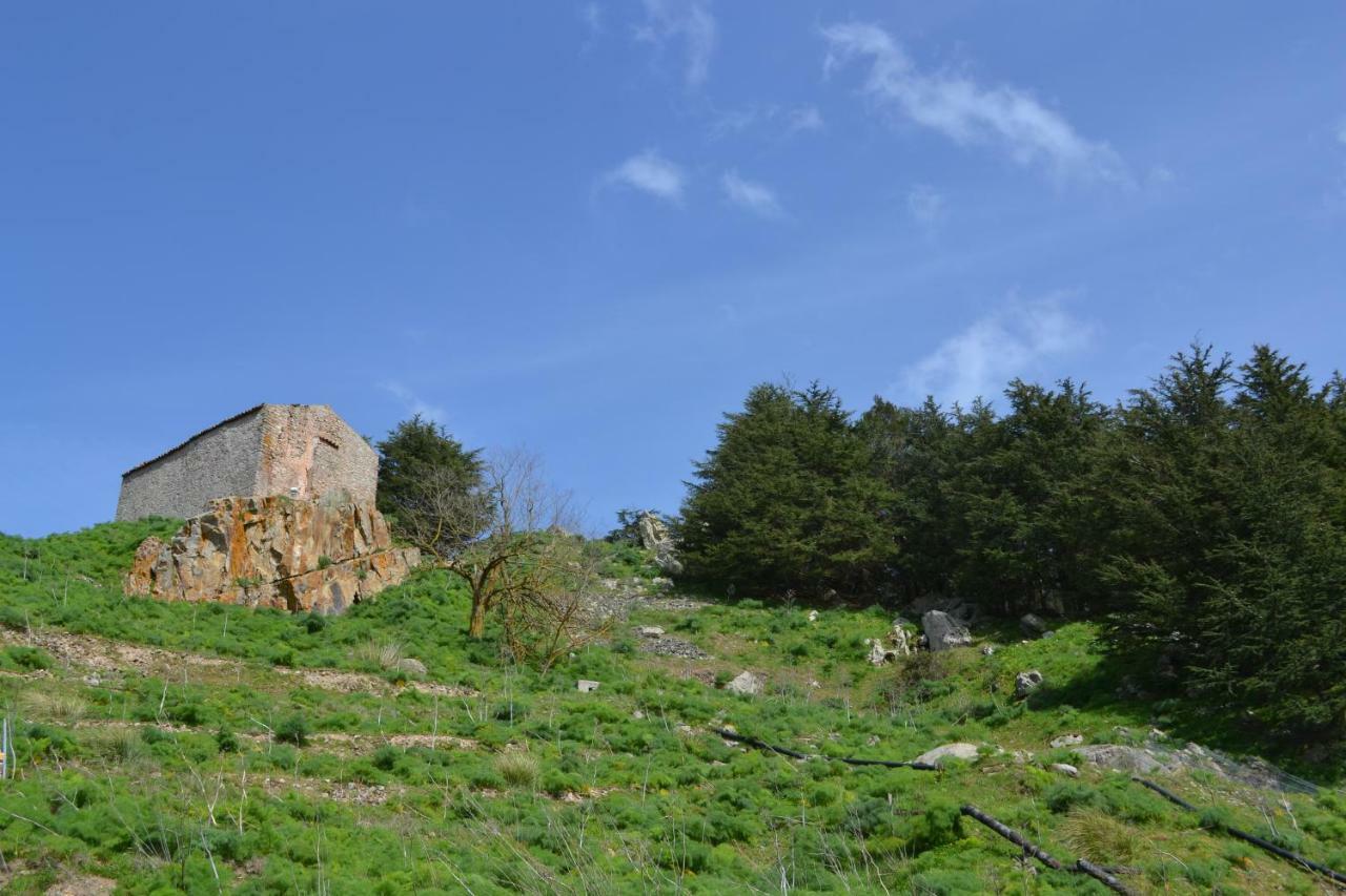 Casa Panoramica Castelverde San Mauro Castelverde Zewnętrze zdjęcie